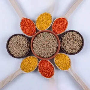 Organic Pulses