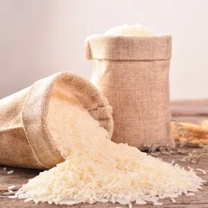 Premium Rice Seeds